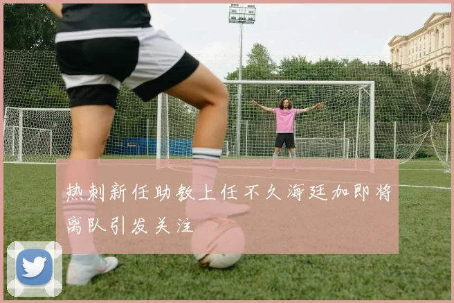 热刺新任助教上任不久海廷加即将离队引发关注